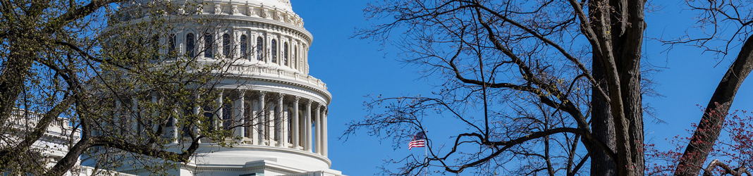 Policy & Advocacy